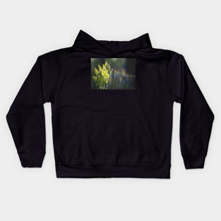 Fresh Green Leaves With Spiderweb Kids Hoodie